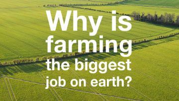Sustainability, biodiversity, BASF, Agriculture
